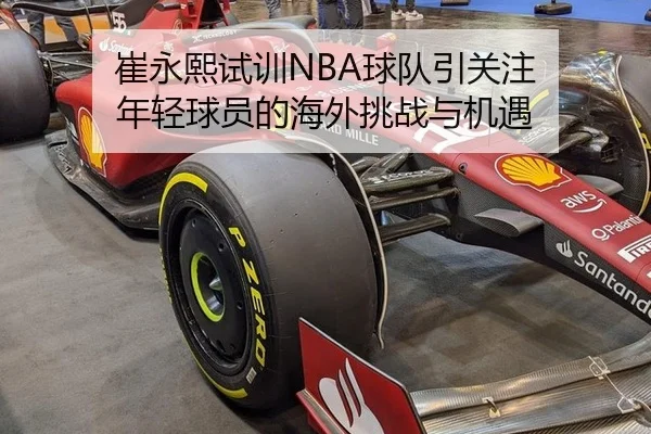 崔永熙试训NBA球队引关注 年轻球员的海外挑战与机遇